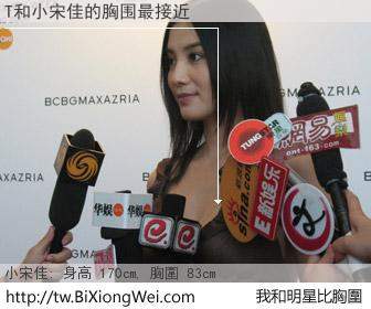 T和明星比胸圍的結果