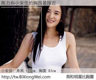 陈力和明星比胸圍的結果