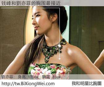 钱峰和明星比胸圍的結果