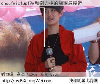 cnqufwix1upf9w和明星比胸圍的結果