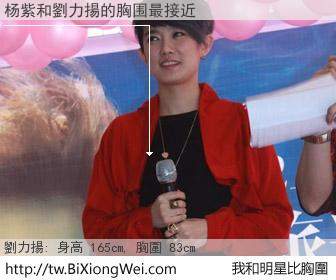 杨紫和明星比胸圍的結果