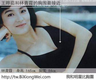 王晔茹和明星比胸圍的結果