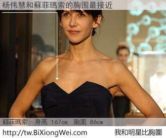 杨伟慧和明星比胸圍的結果