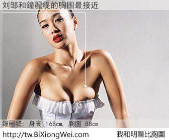 刘邹和明星比胸圍的結果