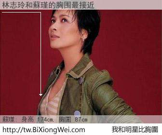 林志玲和明星比胸圍的結果