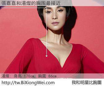 張嘉嘉和明星比胸圍的結果