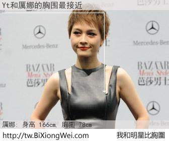 Yt和明星比胸圍的結果