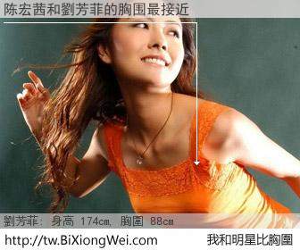 陈宏茜和明星比胸圍的結果