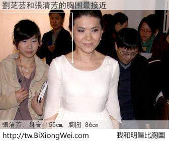 劉芝芸和明星比胸圍的結果