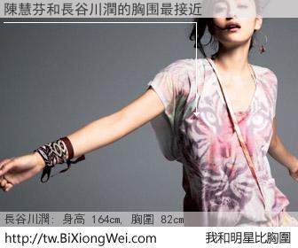 陳慧芬和明星比胸圍的結果