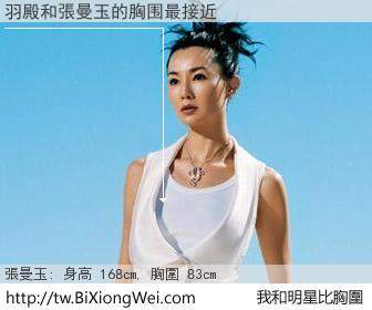 羽殿 |和明星比胸圍的結果