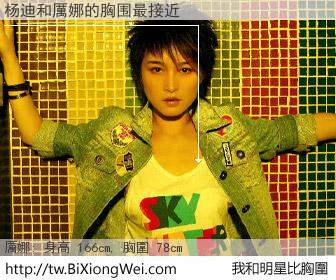 杨迪和明星比胸圍的結果