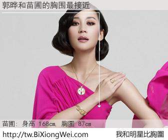 郭晔和明星比胸圍的結果