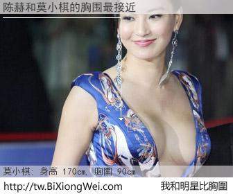 陈赫和明星比胸圍的結果