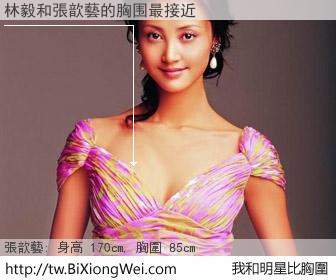 林毅和明星比胸圍的結果